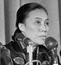 Madame Binh photo